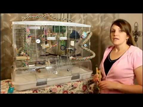 Vision Bird Cage Review - Bird People Las Vegas