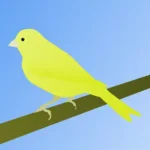 Can Canaries Be Tamed?